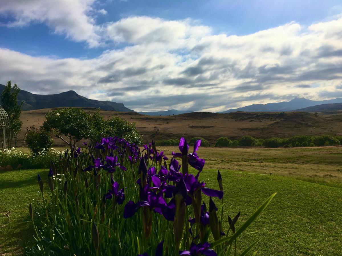 Jovali Clarens Hotel ภายนอก รูปภาพ